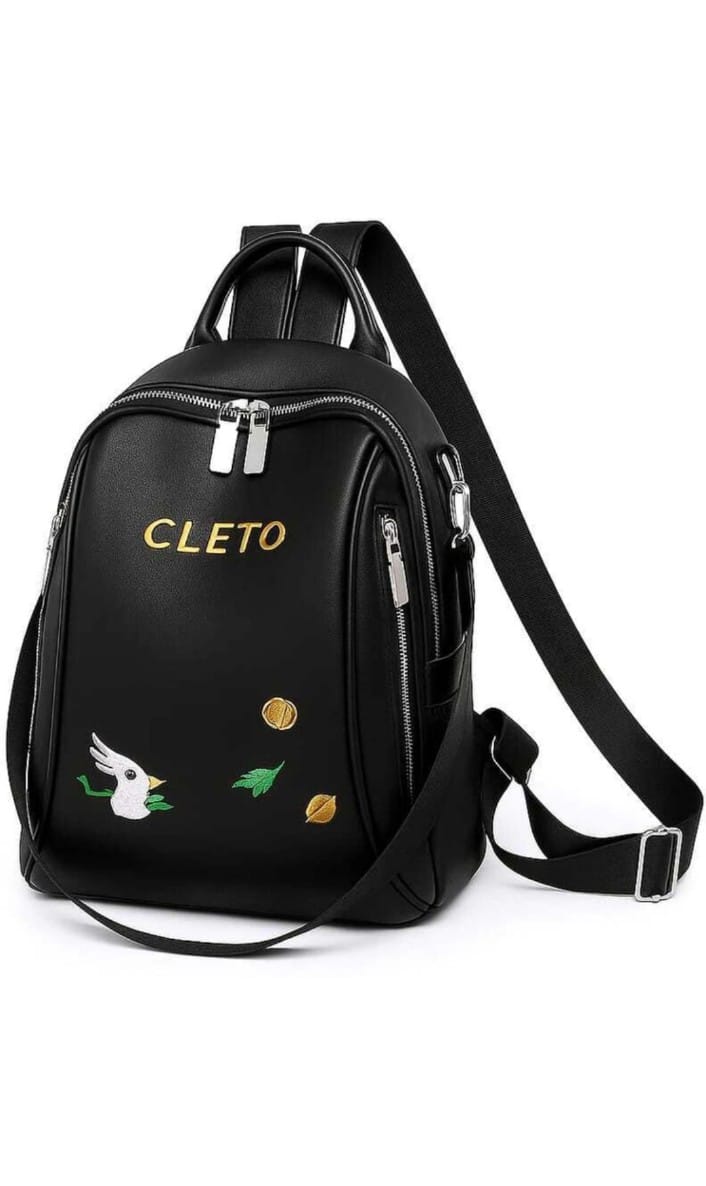 Attractive School Backpacks For Girls Embroidery Fashionable Trendy college bags