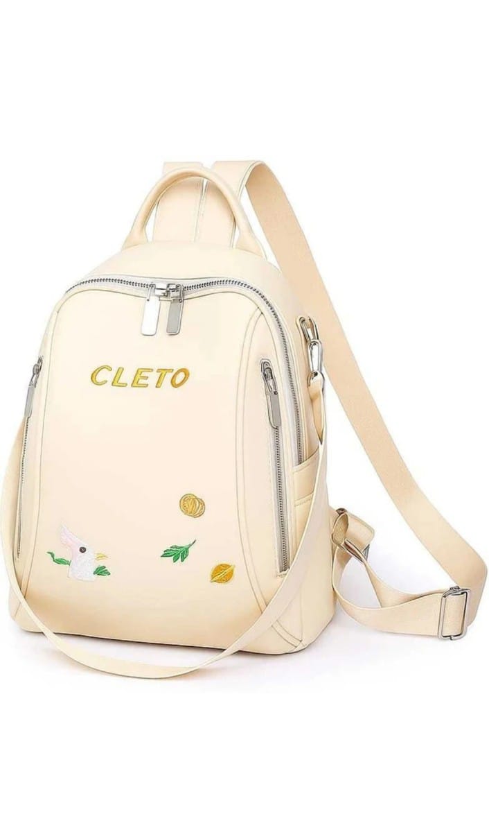 Attractive School Backpacks For Girls Embroidery Fashionable Trendy college bags