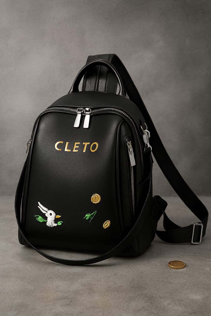 Attractive School Backpacks For Girls Embroidery Fashionable Trendy college bags